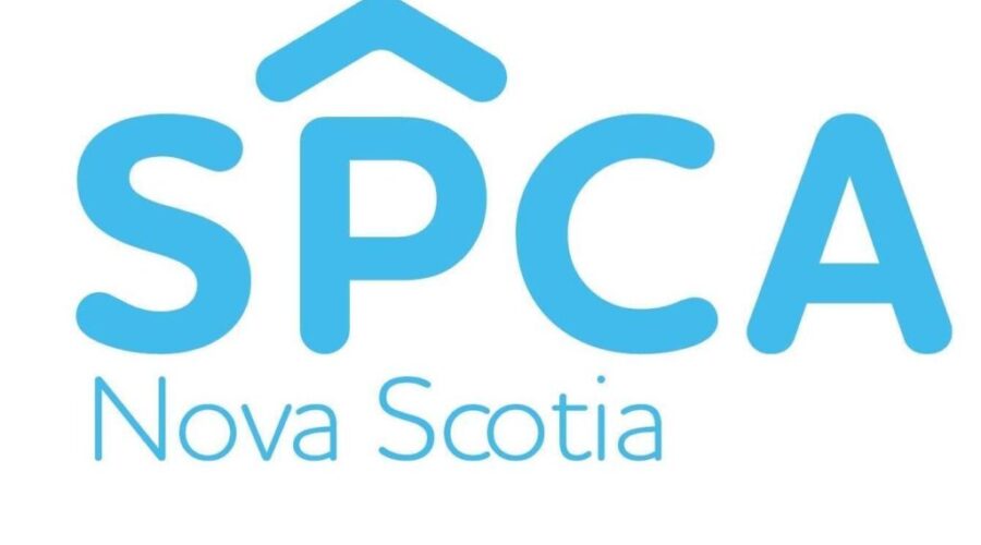 Bedford man charged for distressed dog: SPCA