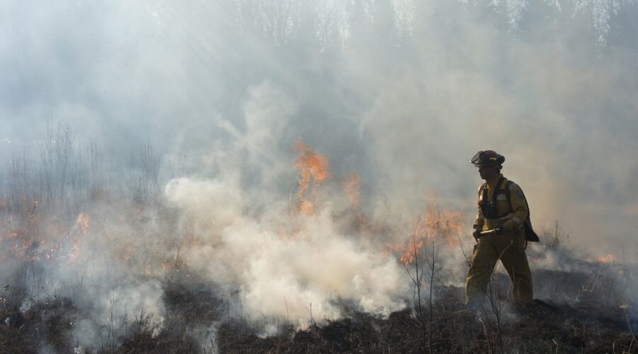 Report reviews HRM response to wildfire