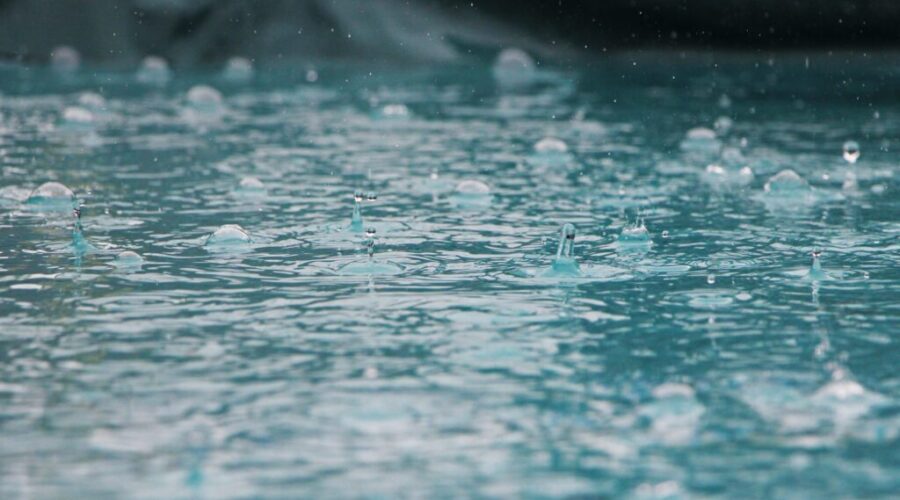 Wind warnings and lots of rain in forecast for Monday