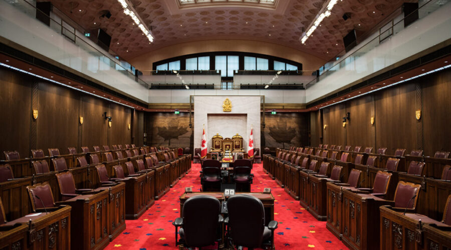 New Senators named