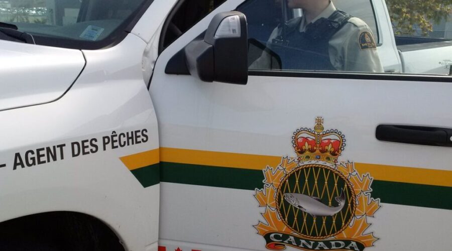 N.S. halibut fishery violations lead to $260k in fines