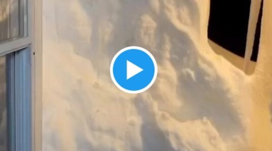 Living In Nova Scotia Summed Up In 17 Seconds