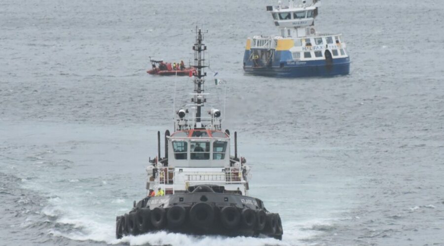 Crews act quickly after person fell into Halifax harbour