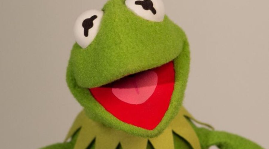 Willie Nelson Brings Kermit Out On Stage