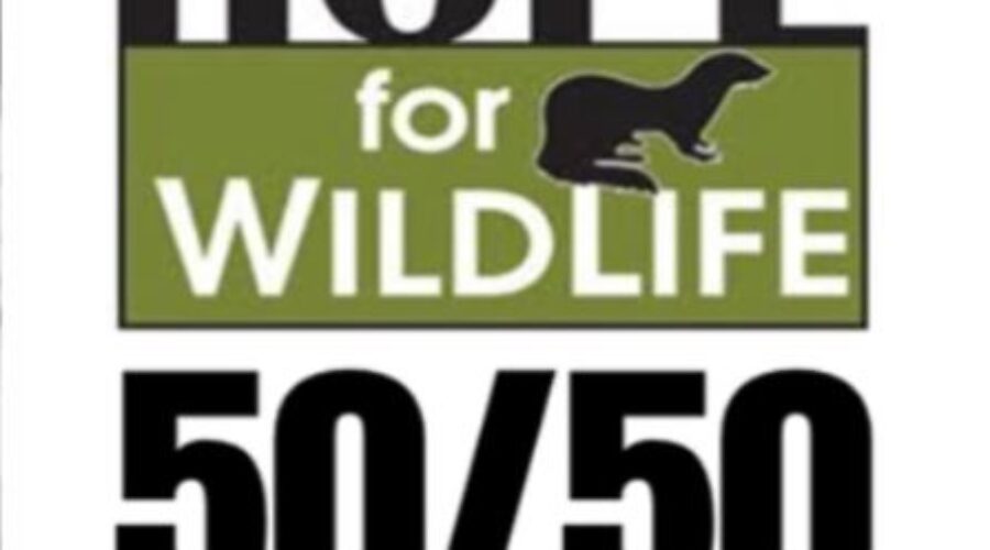 Hope For Wildlife 50/50 Over $100K