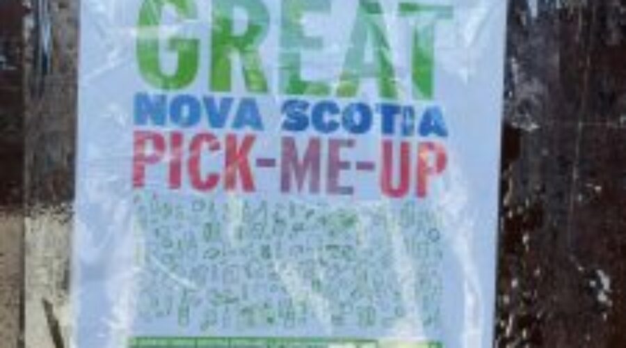 Celebrating Earth Day by cleaning up N.S. communities