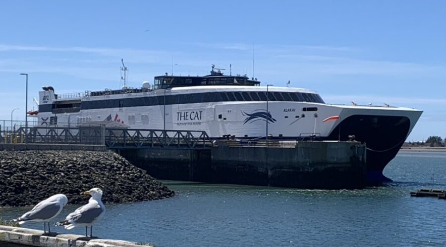 Masland glad to see passenger increase on the ‘CAT’