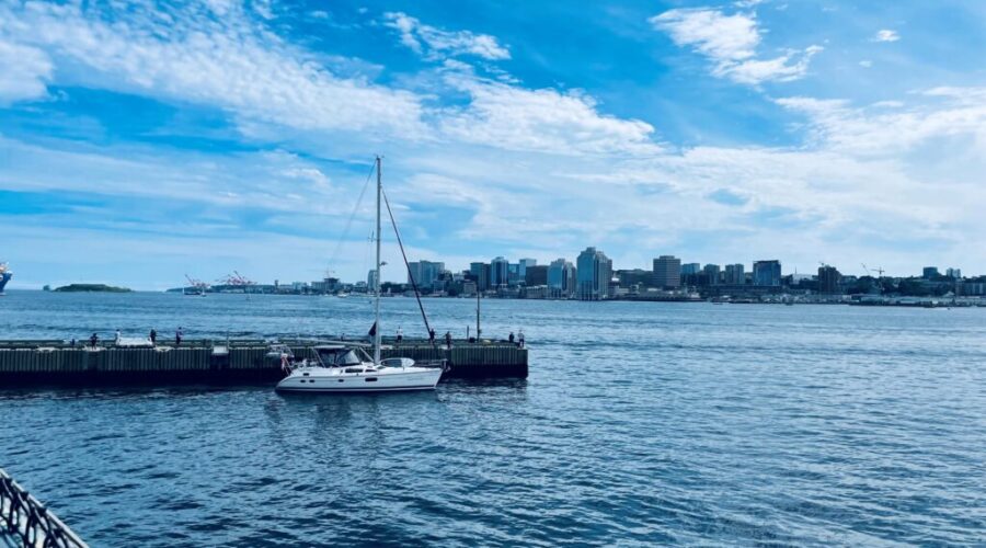 Construction company wants to “rebuild fish habitat” by infilling Dartmouth Cove, waiting on DFO approval