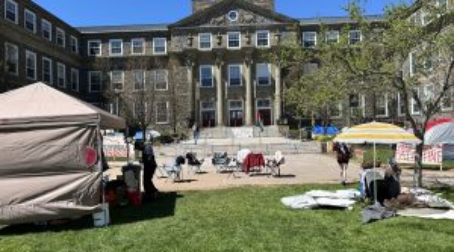 Pro-Palestine encampment will stay until university meets demands: student