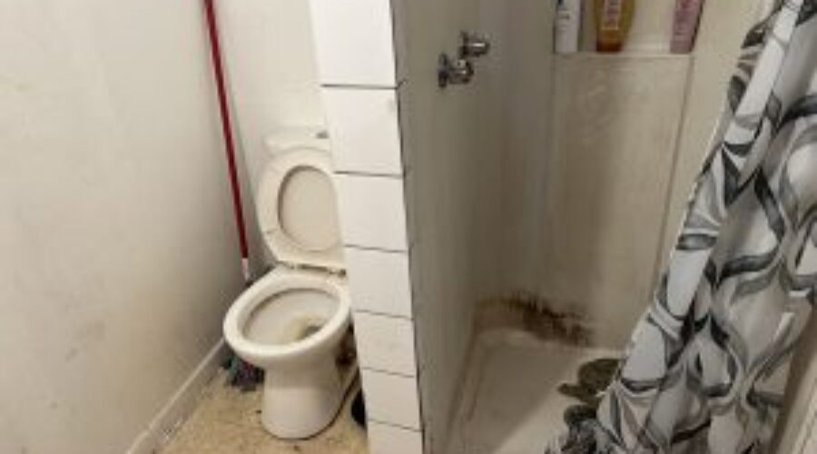 Halifax rooming house halls, bathrooms lined with trash