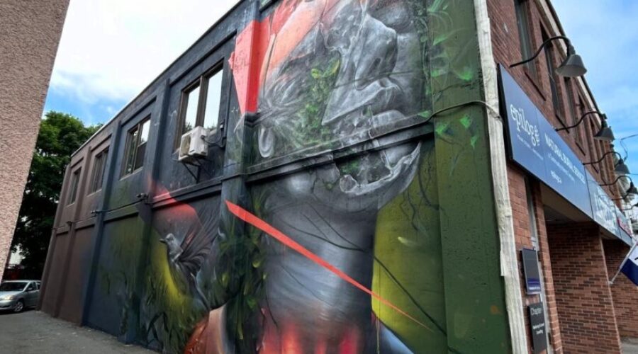Check Out Some Of The New Murals On Quinpool Road!