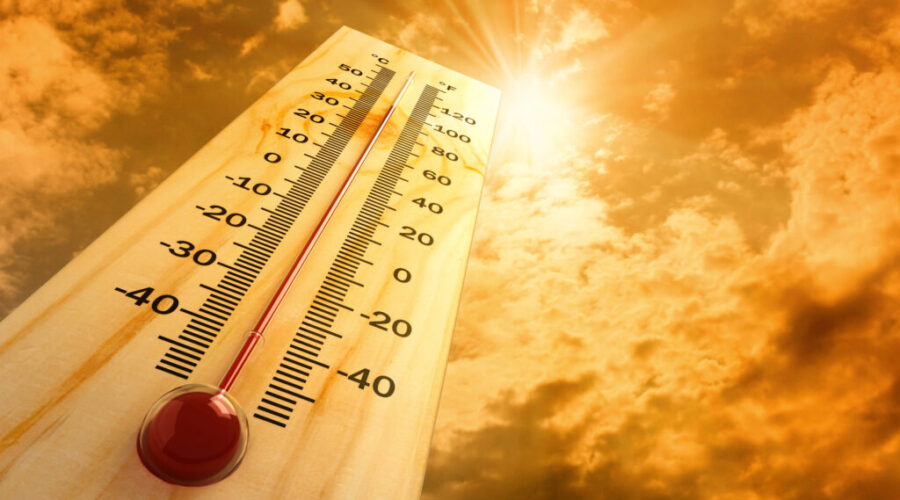 Heat Wave Continues! Don’t Leave Your Pets In The Car!
