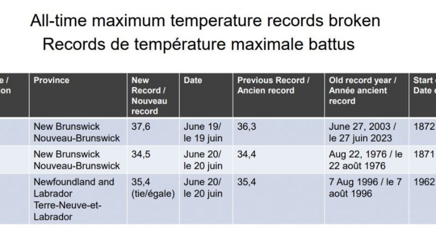 Environment Canada says mid-June heatwave was more likely because of humans