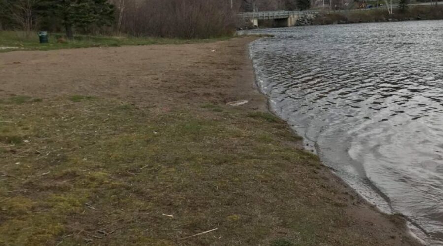 Swimmers advised to avoid Lake Echo Beach