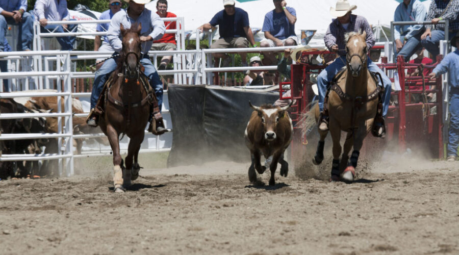 First ever Nova Scotia Stampede kicks off