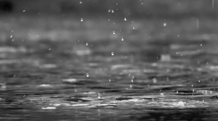 Heavy rain, strong winds arriving Friday night in N.S.