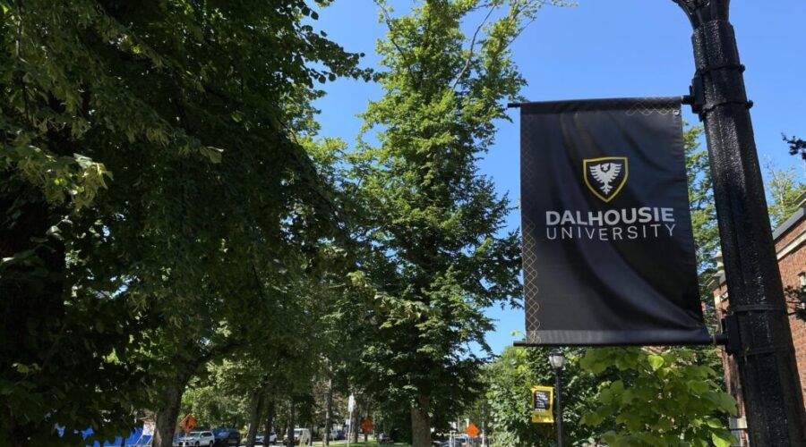 Housing for 200 more students coming to Dalhousie