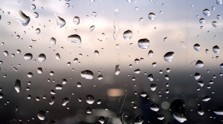 UPDATE: Scattered power outages in N.S. as rain and wind warnings in effect