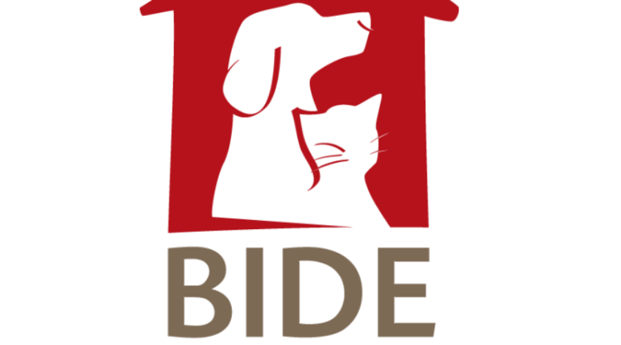 Bide Awhile Animal Shelter In Dartmouth Are Looking For Giving Tuesday Donations!