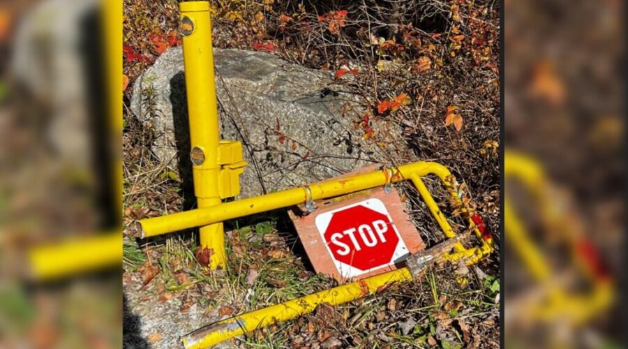 ‘Like a punch to the stomach’: association chair after popular HRM trail vandalized