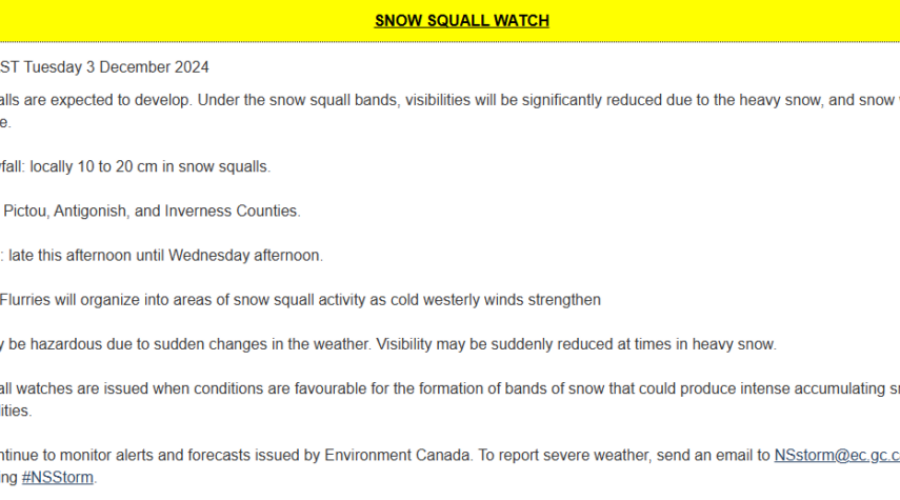 HEADS UP: Parts Of Nova Scotia Under Snow Squall Watches (Dec. 3rd)
