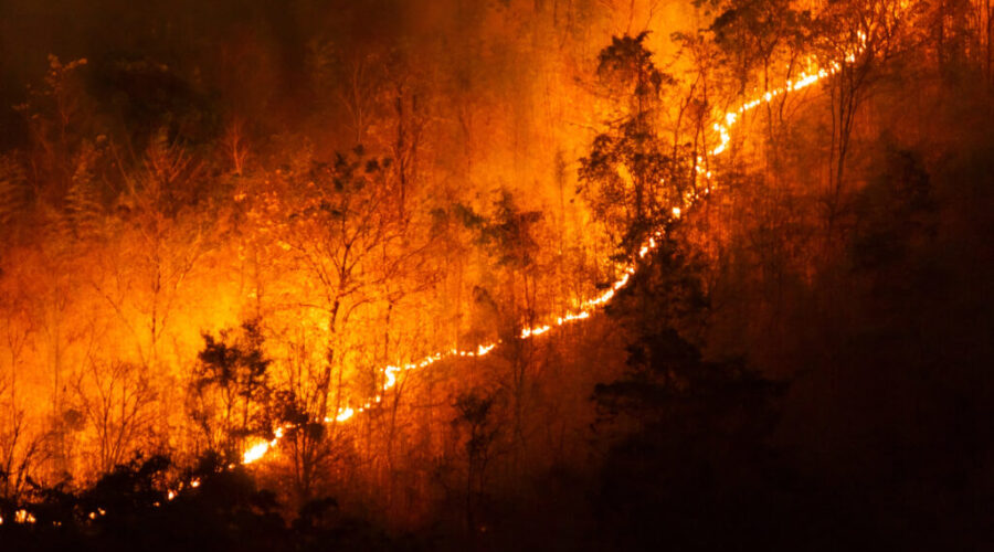 Canada Stepping Up To Help California Wildfires