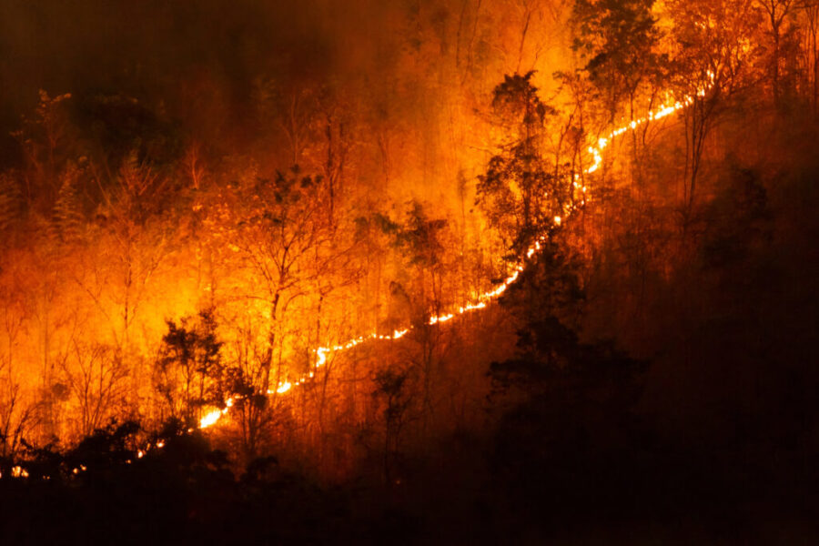 Canada Stepping Up To Help California Wildfires
