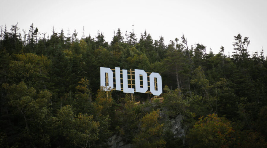 Make Dildo Canadian Again!