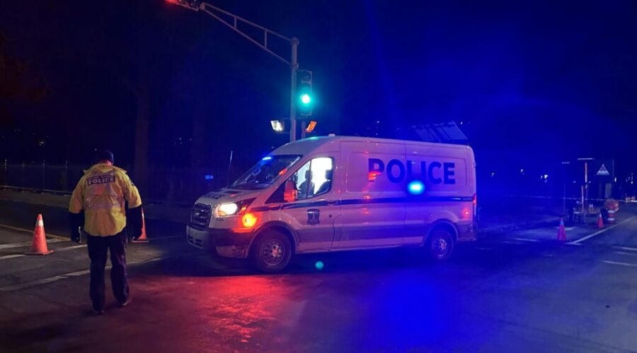 Man facing 4 charges after woman, 21, dies after hit in crosswalk