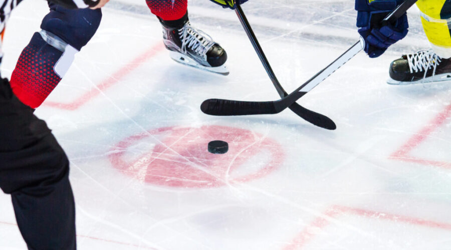 Hockey Benefit for LA Fire Relief Fund