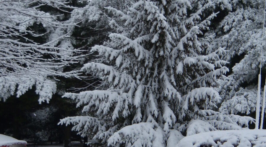 Two snowmobilers found after large search in Cape Breton Highlands