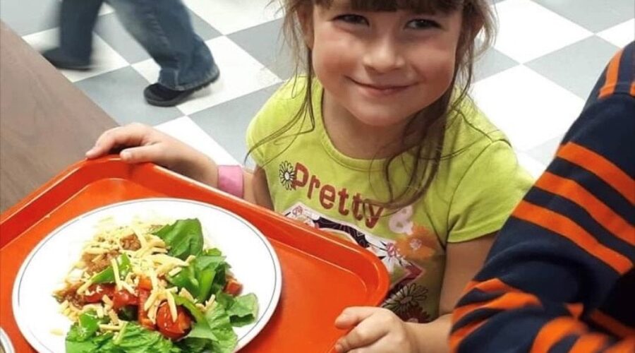 Federal government invests $12.4 million for N.S. school food programs
