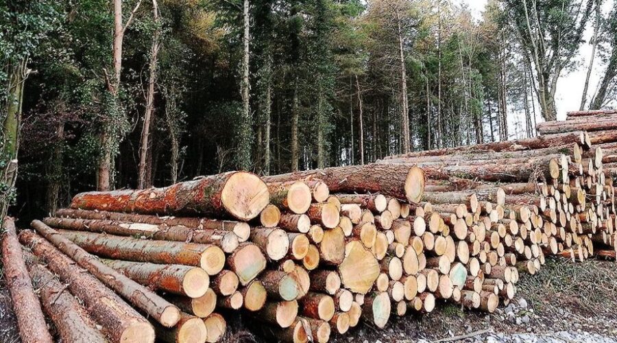Forest products added to N.S. loyal program