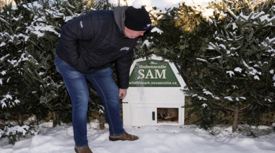 Nova Scotia and Ontario Groundhog Day forecasts: A Split Decision