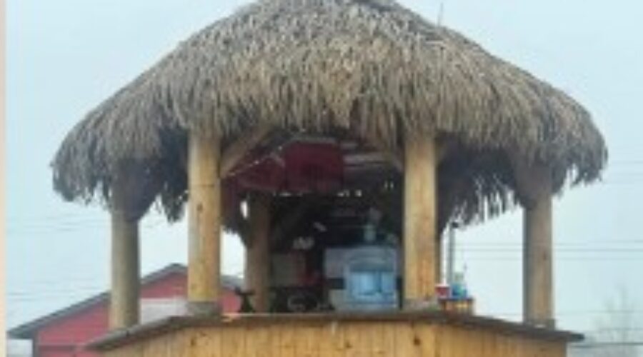 Tiki Tour Hut That You Saw Travelling Across The Waterfront Is For Sale If You’re Interested