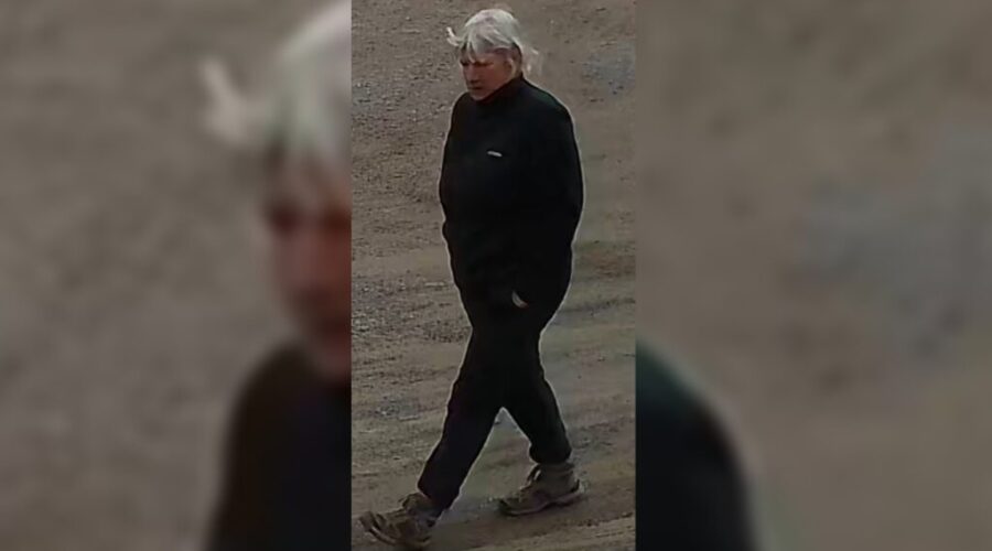 Police seek suspect in hate crime after flags vandalized