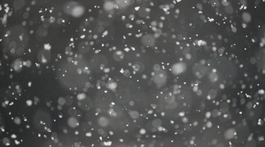 Schools cancelled across Nova Scotia