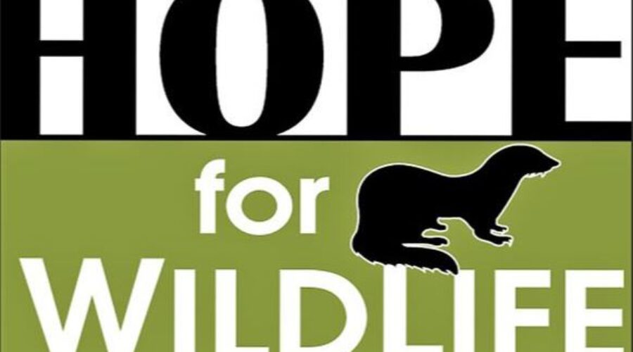 Wildlife Wednesday: Release The Geese!