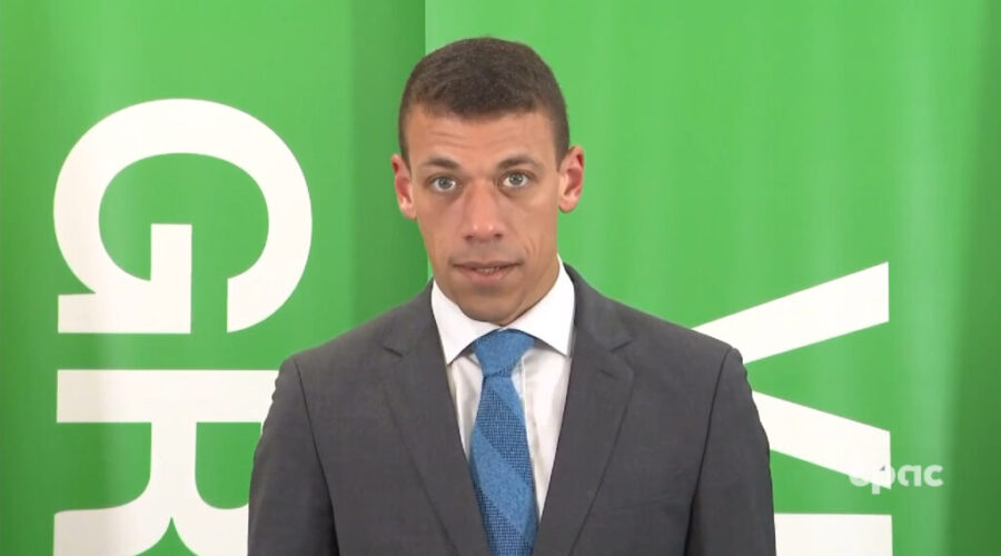 Jonathan Pedneault resigns as Green Party co-leader