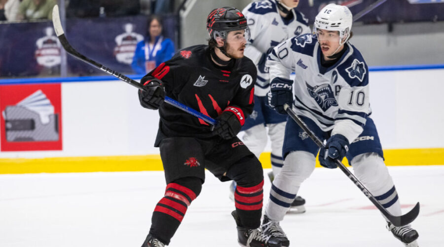 Moncton Wildcats advance to Memorial Cup semifinal
