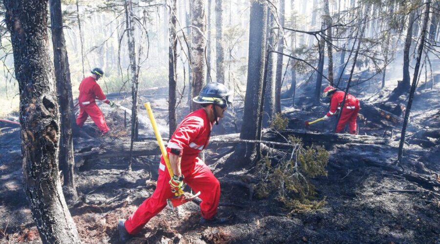 No charges to be laid for wildfire in Upper Tantallon, Hammonds Plains