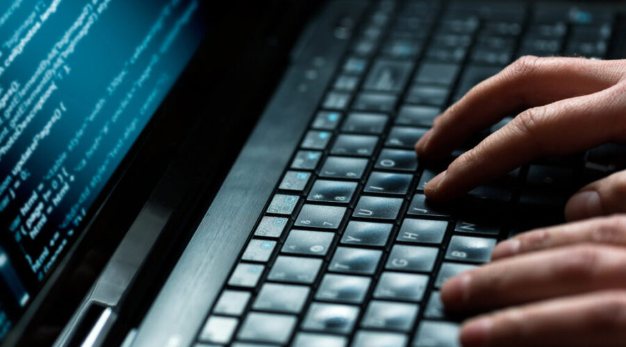 Business scams rising in Canada, experts warn of risks