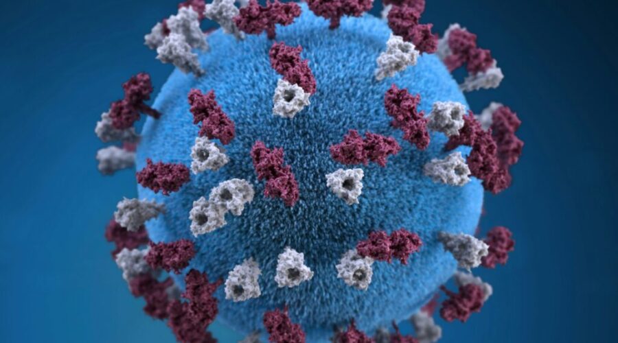 Measles case confirmed in Pictou County
