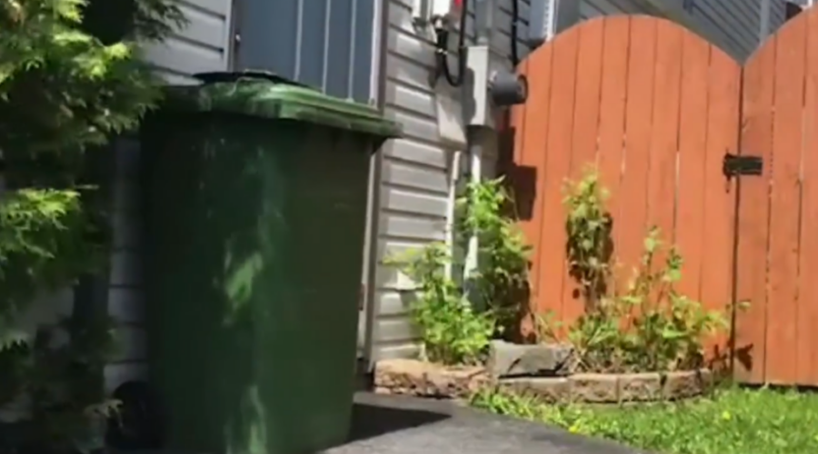 Green carts now collected weekly until the fall