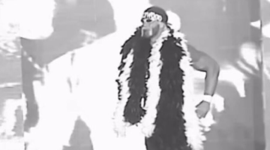 Hulk Hogan, The Legendary WWE Superstar, Passes Away At The Age Of 71
