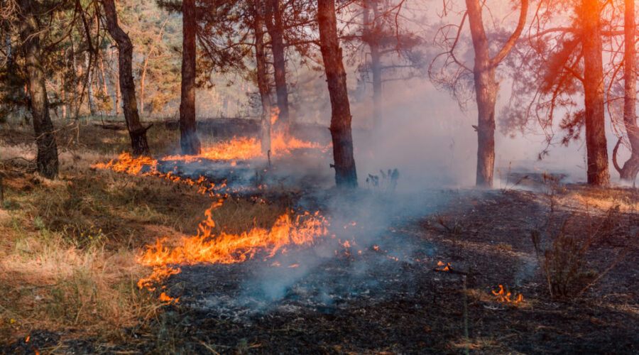 15 wildfires burning, Long Lake blaze now over 1,000 hectares