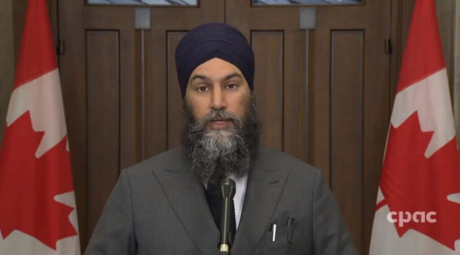 Federal NDP officially launch leadership race