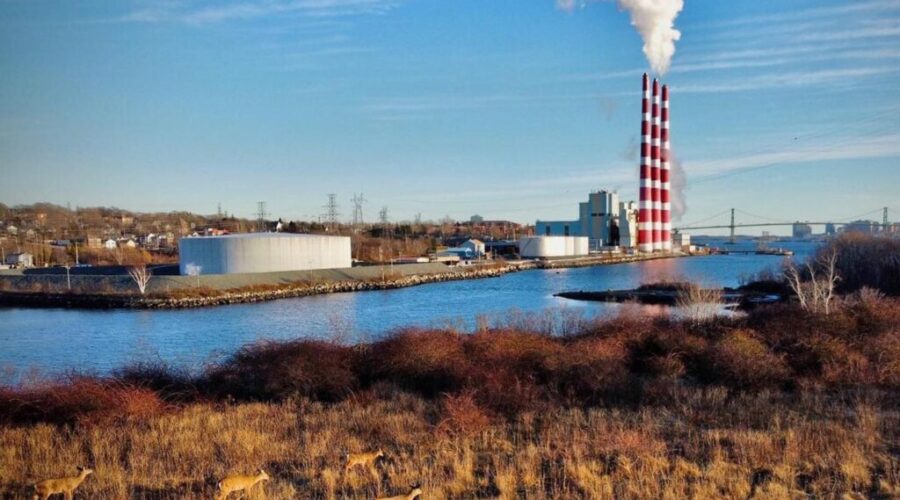 Federal program fast-tracks Shannon Park development