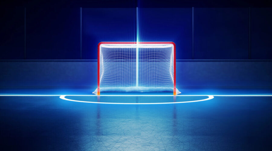 N.S. goalie makes N.H.L. debut with key saves and massive win
