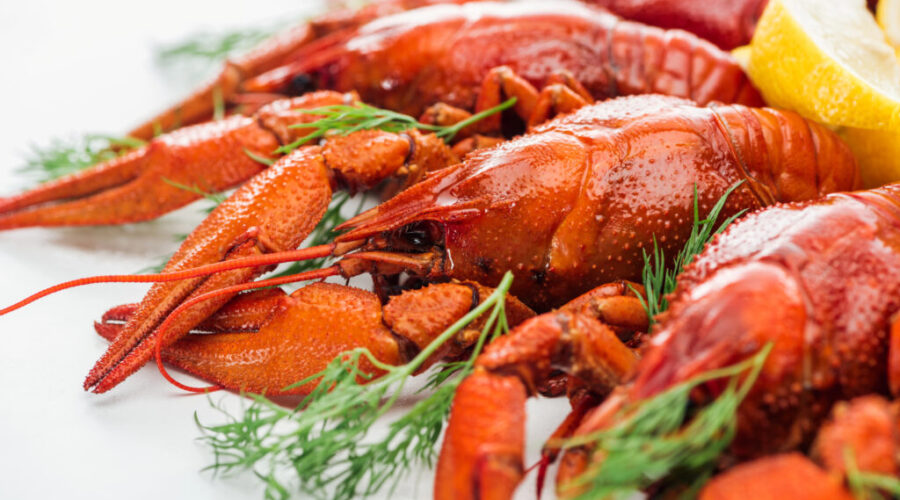 N.S. completes ‘successful’ seafood trade trip to China